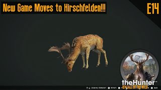 E14 New Game Moves to Hirschfelden theHunter Call of the Wild [upl. by Thorrlow]