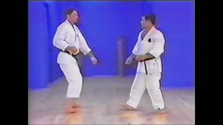 Goju ryu kata Seiyunchin bunkai [upl. by Jayson]