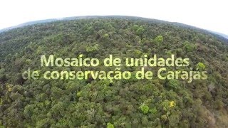 FLORESTA NACIONAL DE CARAJÁS [upl. by Akemehc505]