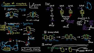 PHARMACOLOGY 6  Types of Receptors [upl. by Jamie]