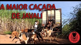 A MAIOR CAÇADA DE JAVALI [upl. by Akkinahs]