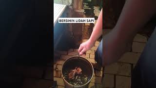 Membersihkan Lidah sapi ❗lidahsapi dagingsapi tukangdaging pedagangpasar pasartradisional [upl. by Carmelina]