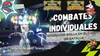 🔮Serperior Brilla en el Campo de Batalla🔮  Combates Individuales  Pokémon Escarlata y Purpura [upl. by Eimyaj577]