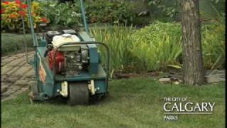 Aerating Your Lawn [upl. by Barcroft]