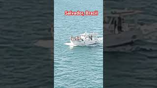 HAPPY HOLIDAYS SALVADOR BRAZIL BOAT TOURtrending youtuber sea trendingvideo youtubeshorts [upl. by Volnak]