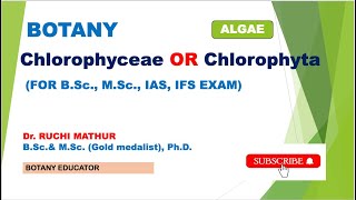 Chlorophyta or Chlorophyceae  Comparsion FE Fritsch and GM Smith Classification [upl. by Marron711]