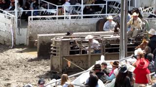 Ron Currin amp Ron Grohl Oakdale Rodeo Sat Perf Gold CardMOV [upl. by Ilime155]