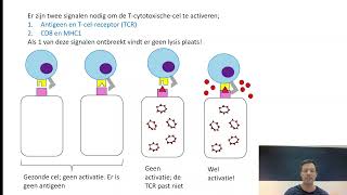 Afweer 6 Cellulaire immuniteit T cytotoxische cel [upl. by Keelin]