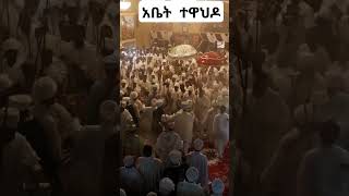 የተዋህዶ ልጆች ሰብስክራይብ አድርጉኝ ethiopia orthodox church አዲስ mahtot tube መዝሙር ኦርቶዶክስ ተዋህዶ 2024 [upl. by Erhart]