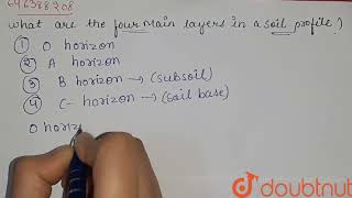 What are the four main layers in a soil profile  CLASS 6  SOIL  BIOLOGY  Doubtnut [upl. by Sollows]