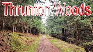 Trail trek Thrunton woods Northumberland hiking walking [upl. by Julian433]