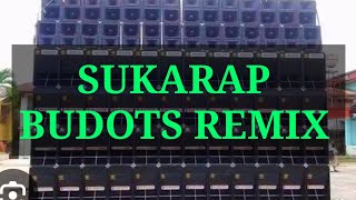 🇵🇭‼️SUKARAP BUDOTS REMIX Dagohoy danaoboholphilippines [upl. by Elay]