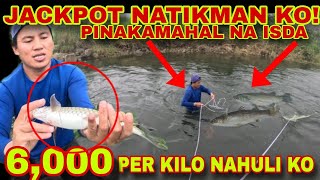 PINAKAMAHAL NA ISDA SA PINAS NAHULI AT NILUTO K😱 NAKIPAGBUNO AKO SA AGOS PARA SA MGA MAHAL NA ISDA [upl. by Aurilia]