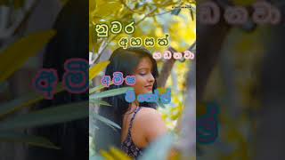 nuwara ahasath hadanawa amisha minol new song නුවර අහසත් හඩනවාඅමීෂ මිනෝල් [upl. by Amapuna]