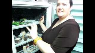 how to defrost a freezer [upl. by Lundquist]