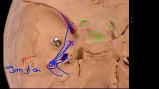 Trigeminal Nerve Basics [upl. by Eentirb91]