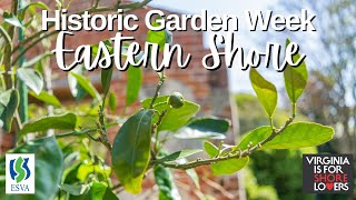 Historic Garden Week on Virginias Eastern Shore Eyre Hall [upl. by Rise]