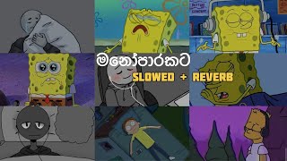 මතක අවුස්සන මනෝපාරකට  Slowed and Reverb Songs  manoparakata sindu playlist 7 [upl. by Tedmann374]