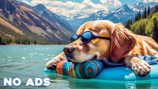 12 Hours Dog Music 🎵 Relaxing Music For Dogs With Anxiety🐶 Separation Anxiety Relief music💖Dog Calm [upl. by Winna]