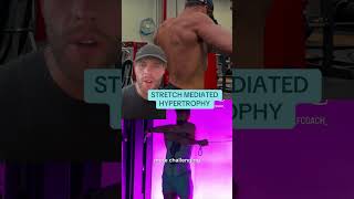 Full ROM rear delt fly vs rear delt row gym gymtok gymrat gymmotivation [upl. by Nnahtebazile]