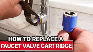 How To Replace A Faucet Valve Cartridge  Ace Hardware [upl. by Virgin]