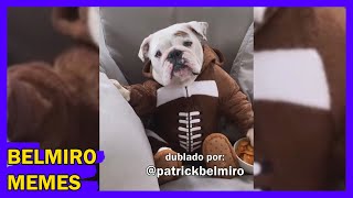 Belmiro Memes Dublagens de animais engraçados  Episódio 285 [upl. by Perkins]