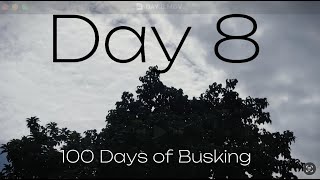 DAY 8  100 DAYS OF BUSKING [upl. by Nonnahsal]