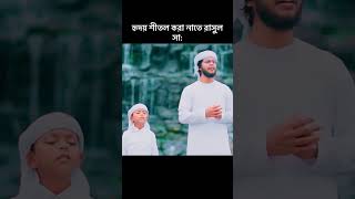 হৃদয় শীতল করা নাতে রাসুল সাislamicshorts islamicvideo নাতেরাসূলviral ghazal 2024 [upl. by Daven326]