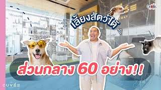 รีวิวคอนโด The Cuvee พระราม 3  สุขสวัสดิ์ เลี้ยงสัตว์ได้ พร้อมส่วนกลาง 60 กิจกรรม [upl. by Eseilana]