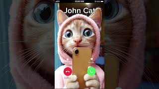 CAT IS CALLING TO YOU 😂 cat [upl. by Norma]