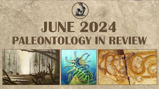 June 2024 Paleontology in Review [upl. by Hylan]