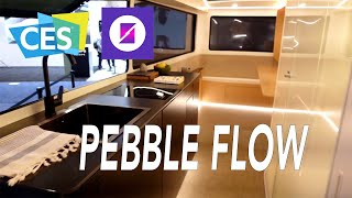 CES 2024  An Inside Tour Of The Pebble Flow [upl. by Anaerdna]