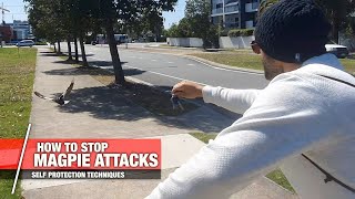 How to Stop Magpie Attacks  SelfDefence Techniques Demonstation [upl. by Bowden326]