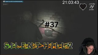 Wir machen uns sorgen um Mary  Silent Hill 2  37 [upl. by Rozanne]