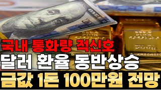 금값전망 충격적인 돈의 비밀 한국 통화량 팽창의 이유 금과 달러의 우상향 [upl. by Arratal]