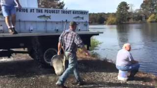 Iona Lake Franklinville NJ being stocked with Rainbow Trout [upl. by Noswal]