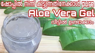 How to make കറ്റാർവാഴ aloe vera gel at home easly  Homemade aloevera gel in malayalam [upl. by Ennoryt]