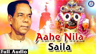 Ahe Nila Saila  ଆହେ ନୀଳ ଶୈଳ ଭଜନ ସମ୍ରାଟ ଶ୍ରୀ ଭିକାରି ବଳଙ୍କ କଣ୍ଠରେ ଭକ୍ତ ସାଲବେଗ ଚଳଚିତ୍ରର ଭକ୍ତିଭରା ଭଜନ [upl. by Parent183]