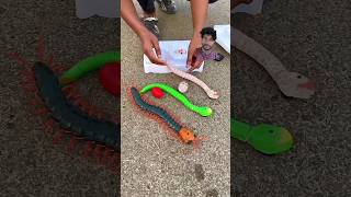 Remote control snake 🐍 toy gadget rcsnake fishing fish snake experiment creaturebaits [upl. by Ieluuk]