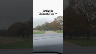 Richmond Park — richmond richmondpark nature london drive driving uk england drivinglessons [upl. by Diley]