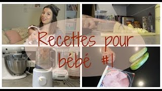 Recettes pour bébé 1 [upl. by Noislla]