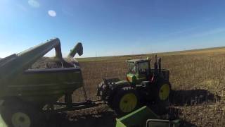 2015 Nebraska Sunflower Harvest  GoPro [upl. by Longerich163]