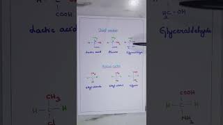 Chiral carbon and Achiral carbon Stereochemistry of Carbon compounds BSc General Chemistry [upl. by Ahsinotna95]