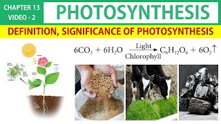 Photosynthesis in Tamil 2  Definition Significance  Class 11 Botany State Board [upl. by Kawai]