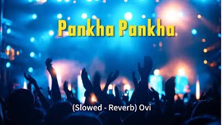 PankhaPankha Slowed  Reverb Ovi LoFi Song US Headphone 🎧🎧 [upl. by Ailb]