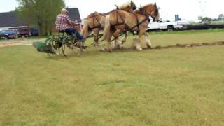 Horses Plowing a Field [upl. by Odracir]