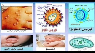 الكائنات الحية الدقيقة والأمراض المعدية [upl. by Fee]