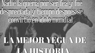 LA MEJOR YEGUA DE LA HISTORIA Nadie la Quería por ser fea y Loca [upl. by Anatola]