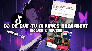 DJ CE QUE TU MAIMES BREAKBEAT Slowed amp Reverb [upl. by Shevlo]