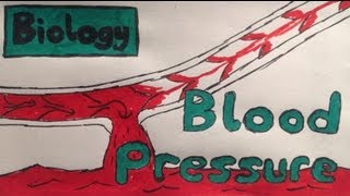 Blood Pressure Explained [upl. by Rider816]